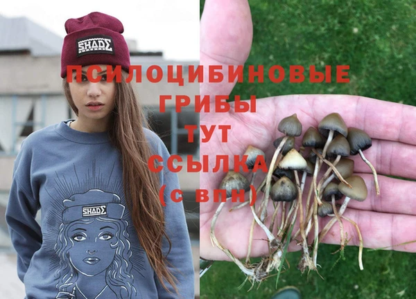 spice Абдулино