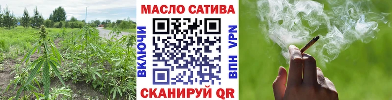 купить наркотики сайты  Назрань  ТГК жижа 