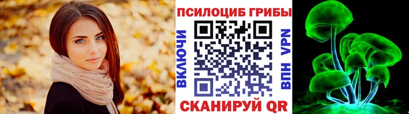 наркотики Назрань Псилоцибиновые грибы Psilocybine cubensis
